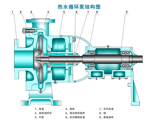熱水循環(huán)泵的結(jié)構(gòu)圖片