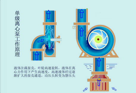 單級離心泵的工作原理圖片